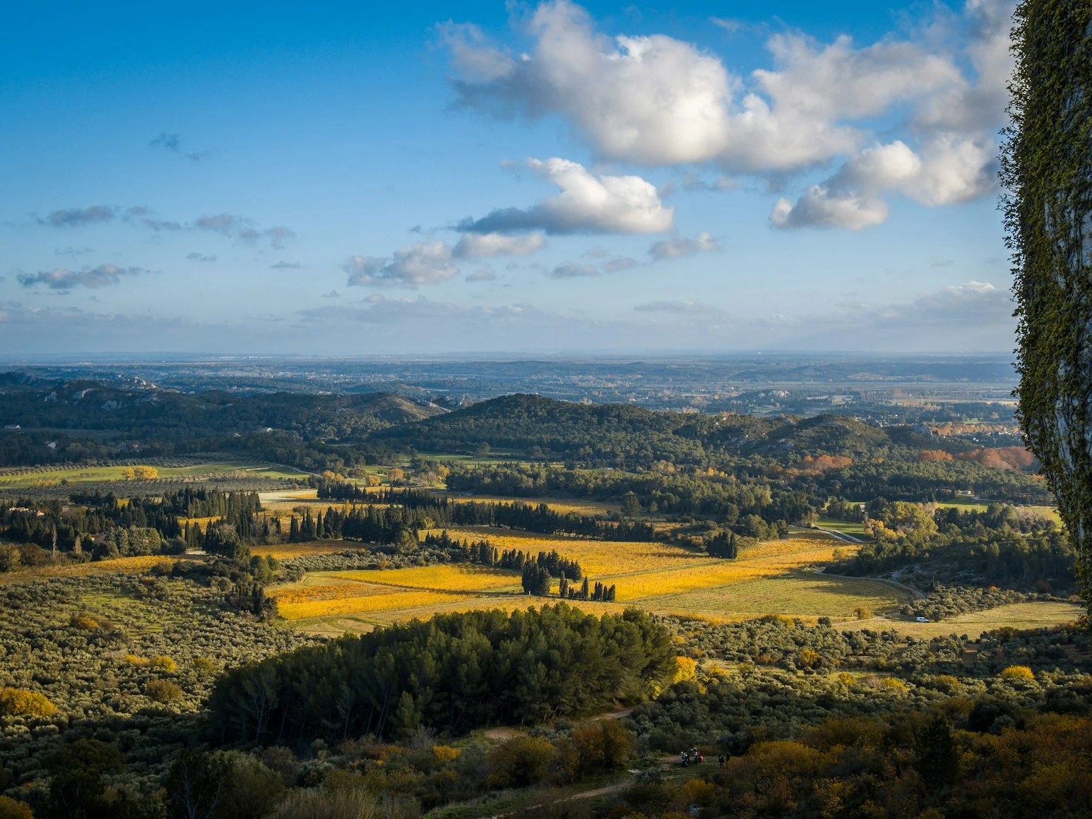 Paysage des Baux-de-Provence